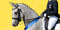 Gary Colson - Carver Studios Web site